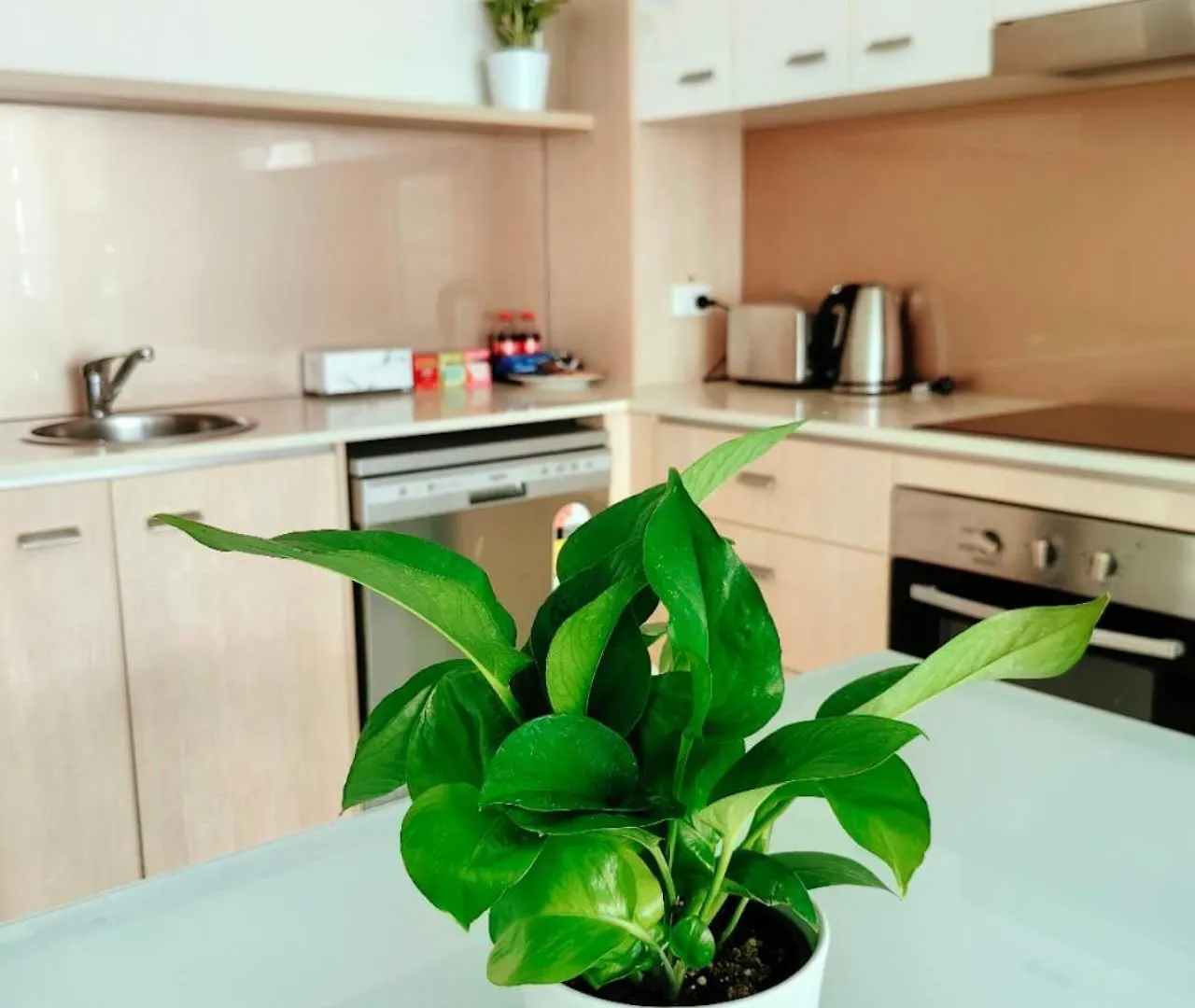 Two Comfy Bedrooms Apartment Gold Coast
